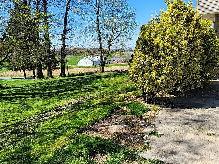 Side Yard