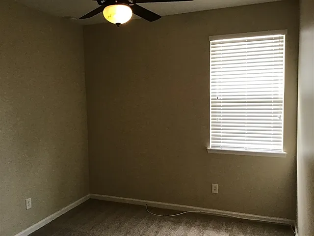 305 Pine Arbor Cir — Photo 18