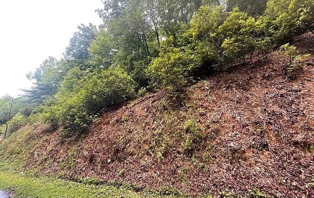 2nd image of Rice Ln