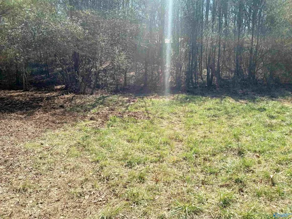 830 City Park Dr SE, Arab, AL 35016