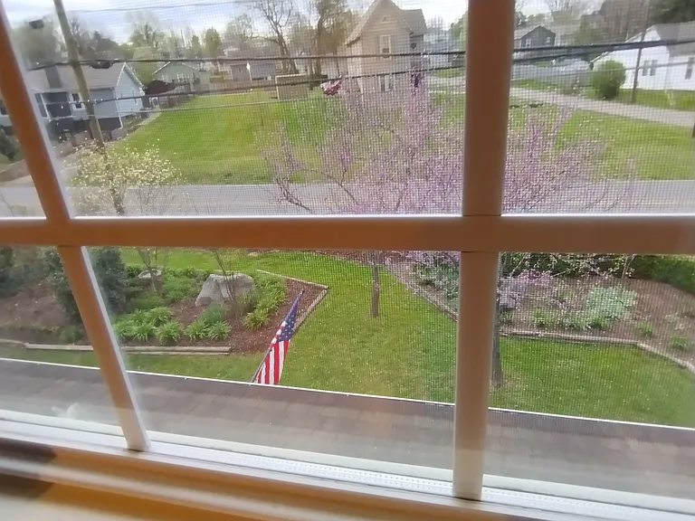 view out bedroom window