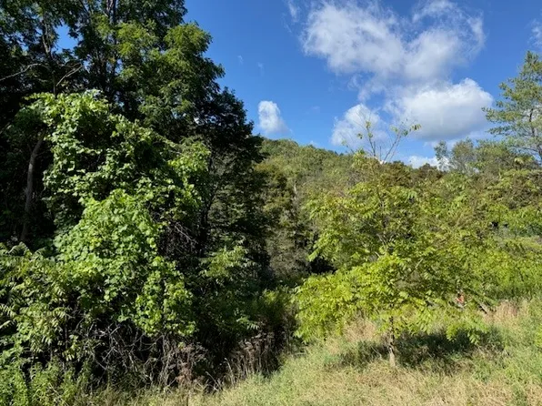 54 Evelien Hill Rd, Owego, NY 13827