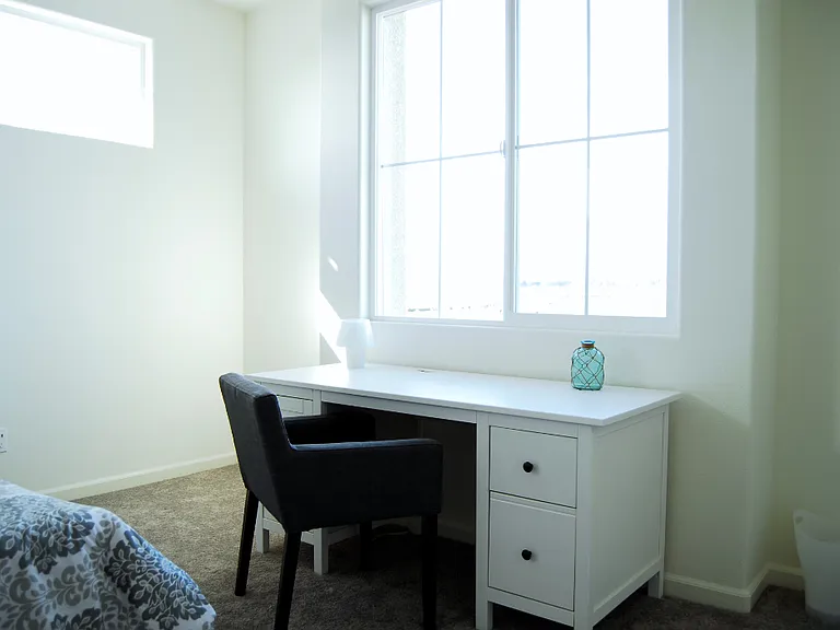 3655 El Dala Ln — Photo 26