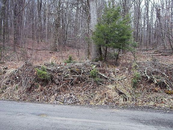 2nd image of Lots On Wildwood Lake