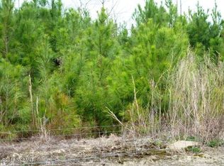 Eneas Lanier Rd, Chinquapin, NC 28521