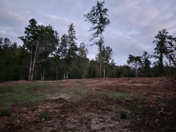 0 Fm 1254, Quitman, TX 75783