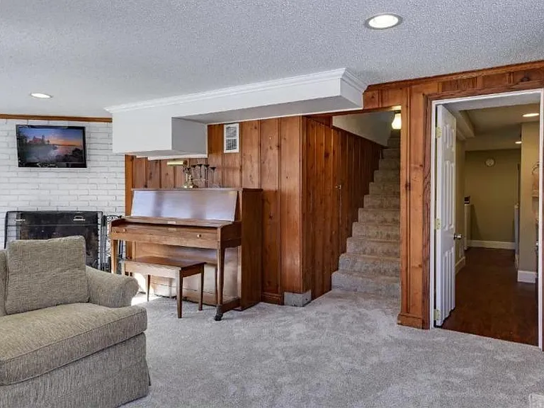 Basement living room