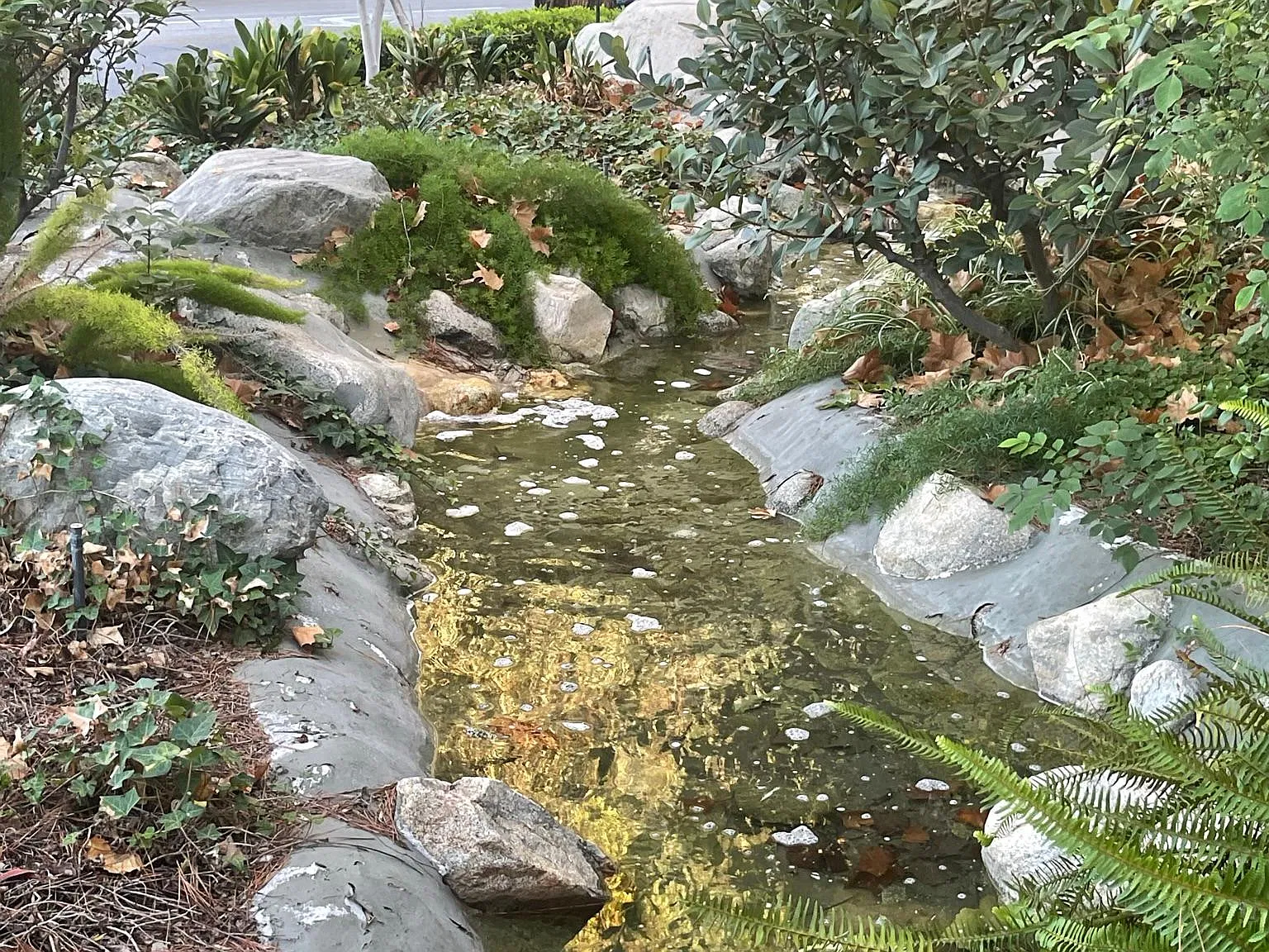 5757 Owensmouth Ave — Photo 2