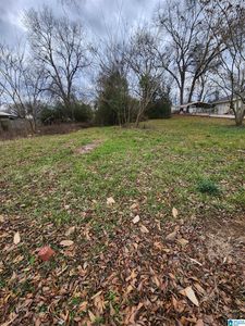 117 Parker Springs St #9, Bessemer, AL, 35020