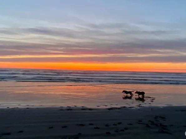 304 14th Street NW #316, Long Beach, WA 98631