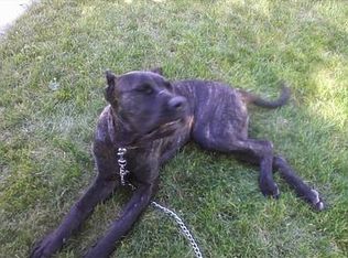 23426 Rensselaer St, Oak Park, MI 48237