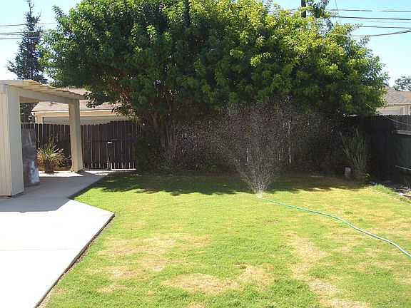Large backyard. Cement patio with alley access