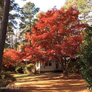 9698 Us 64, Spring Hope, NC, 27882