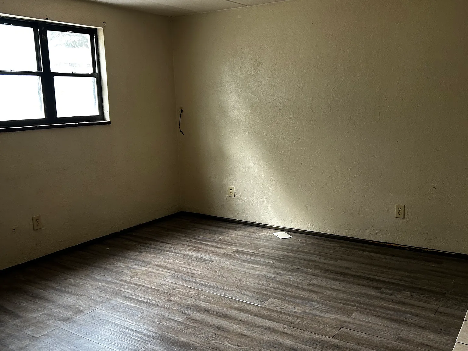 1 bed, 600 sqft, $650 — Photo 2