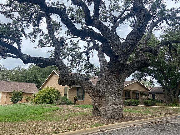 3rd image of 428 Chaparral Dr