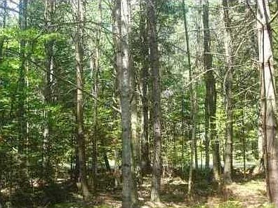 5th image of 0 Stoney Creek Drive