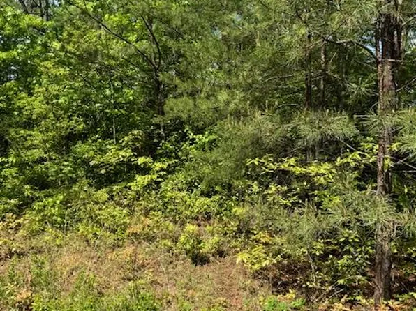 12 Paradise Mountain, Marble, NC 28905