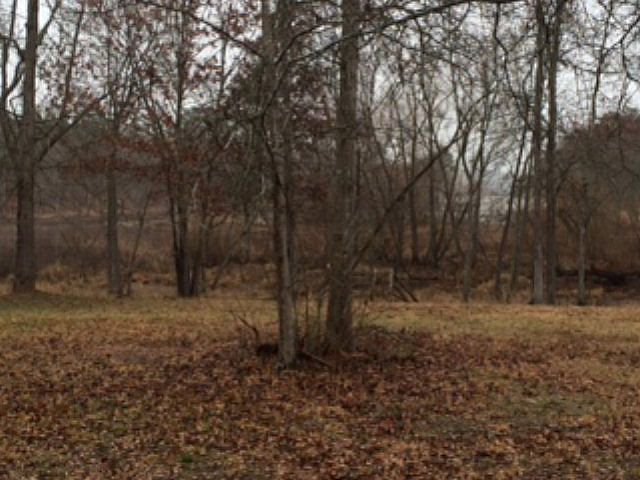 1st image of 1610 River Island Pkwy