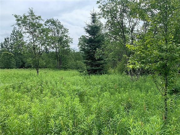 4th image of 5.1 Acres On Bert Schmidt Circle