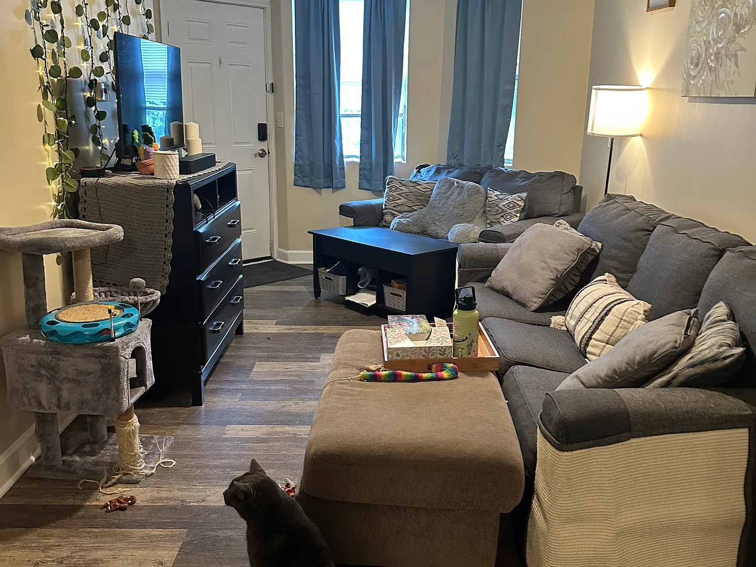 2 bed, $1,375 — Photo 2