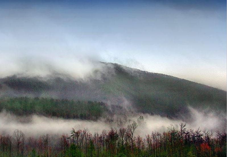 2680 Harold Witt Rd, Tellico Plains, TN 37385 Zillow