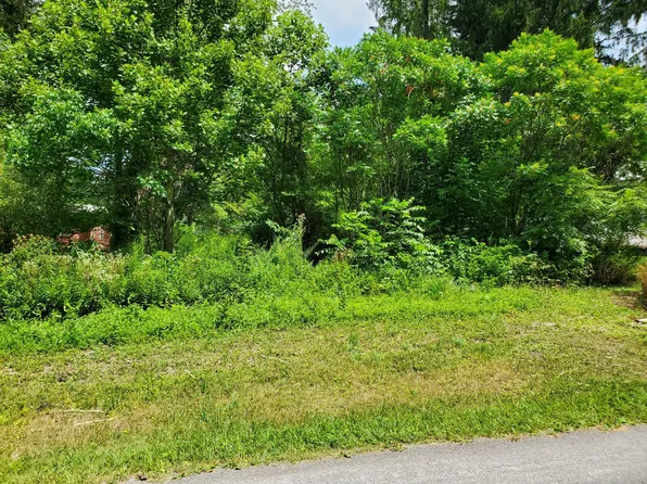 Rodney Ave, Mount Nebo, WV 26679