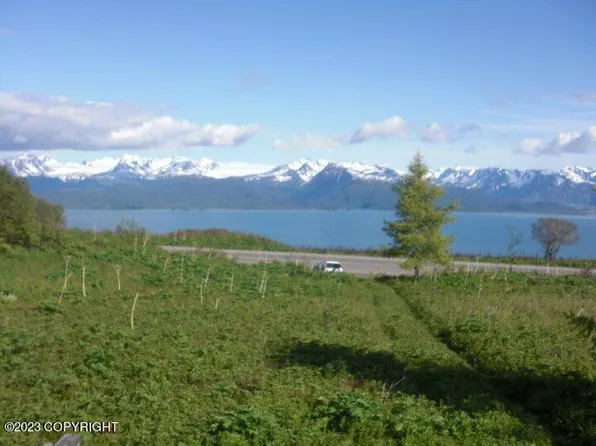 53097 Hutler Rd, Homer, AK 99603