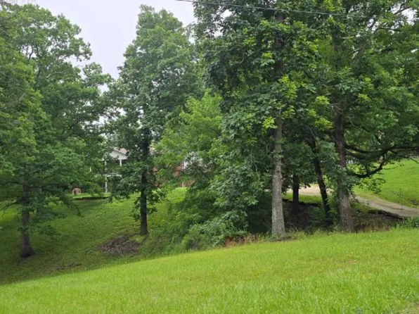 24050 Roberta Cir, Waynesville, MO 65583