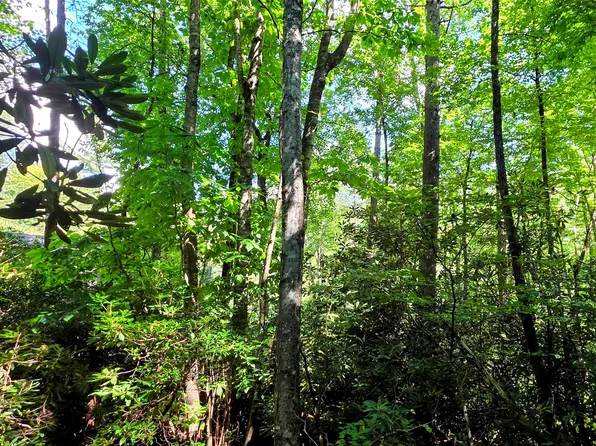 Lot 6 Honeysuckle Court, Sapphire, NC 28774