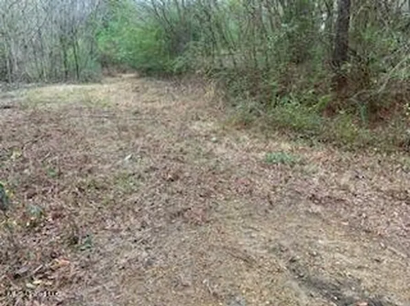 0 Bemis Brunt Rd, Como, MS 38619