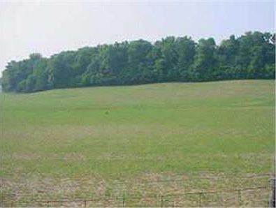 2nd image of 6595 Duncan Rd SW Lot 5