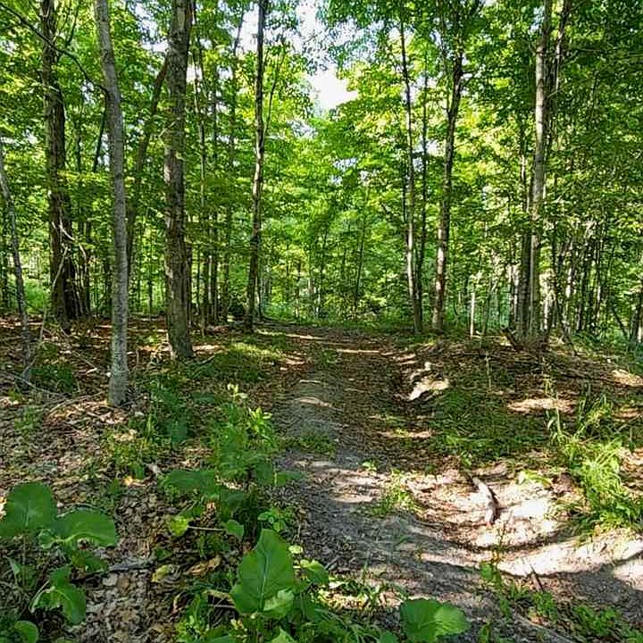 0 Foxboro Trl, Pellston, MI 49769 MLS 471672 Zillow