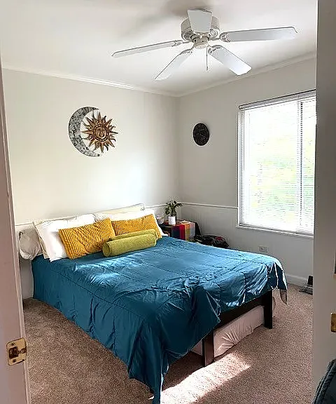325 Bingham Cir — Photo 21