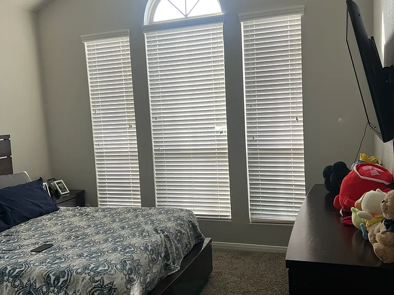20619 White Lilac Trl — Photo 12