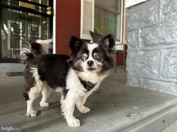 46 N Felton St, Philadelphia, PA 19139