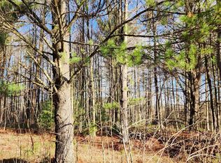 0 W Conners Rd, Twining, MI 48766