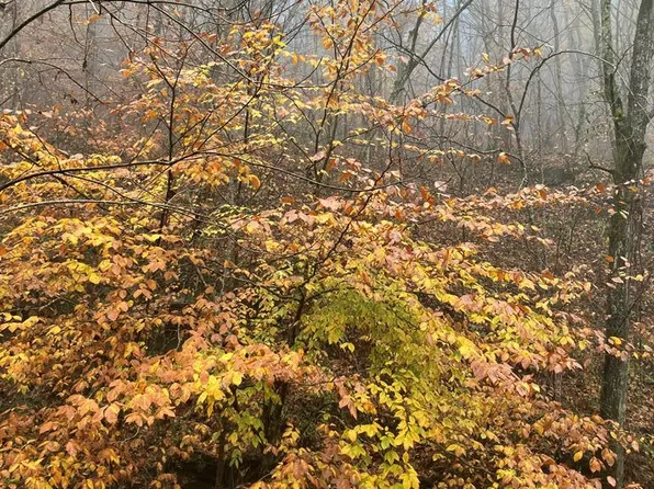 0 Hunter Br, Garrett, KY 41630