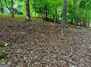 694 Echo Ln, Ellijay, GA 30540