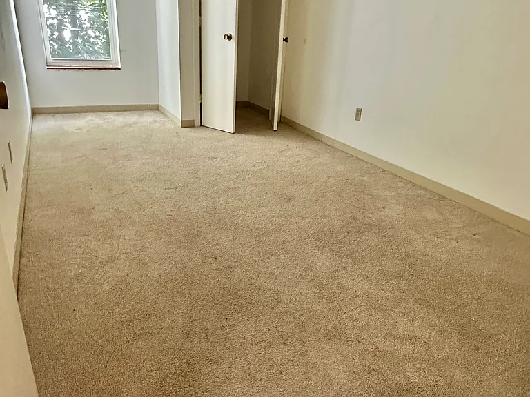 255 Beacon St #2B — Photo 4