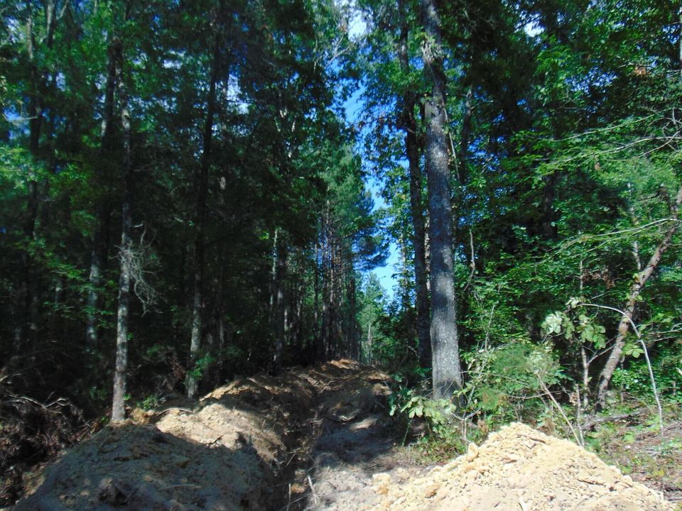 2nd image of 1 Charles Rd