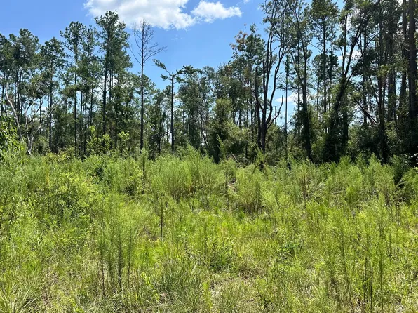 12th Terrace Lot 14, Live Oak, FL 32060