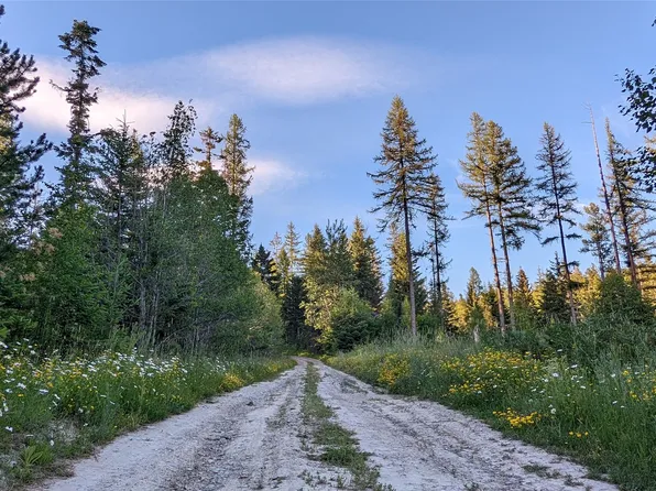 Nhn Peach Park Loop, Rollins, MT 59931