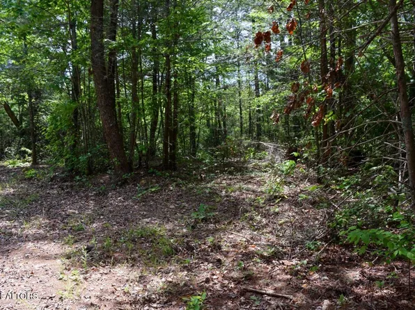 1840 Bryant Hollow Way, Sevierville, TN 37876