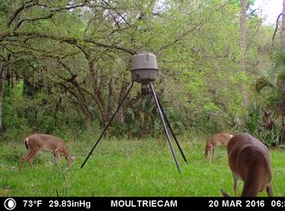 5616 SW Ludlum St, Palm City, FL 34990