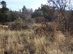 2nd image of 1101 N Rose Quartz Dr