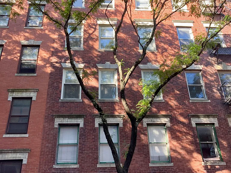 37 Garden St #9 — Photo 13