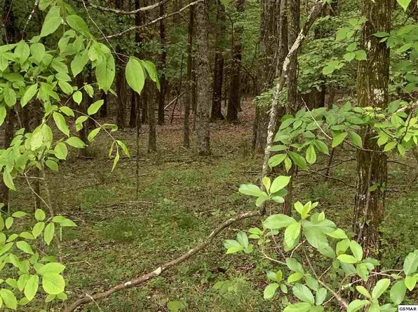 1058 Mountain View Ln Lot 1058, White Pine, TN 37890