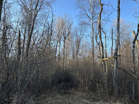 4th image of Koch Rd