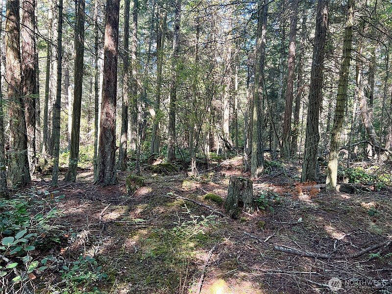 4th image of 0 Thatcher Pass Road