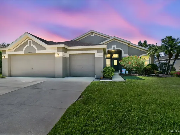 22431 Willow Lakes Dr, Lutz, FL 33549